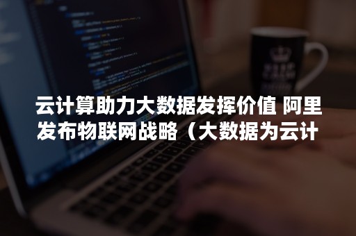 云计算助力大数据发挥价值 阿里发布物联网战略（大数据为云计算提供了用武之地）