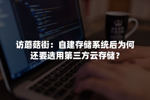 访蘑菇街：自建存储系统后为何还要选用第三方云存储？