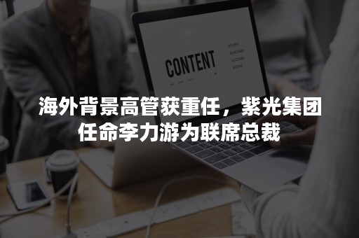 海外背景高管获重任，紫光集团任命李力游为联席总裁