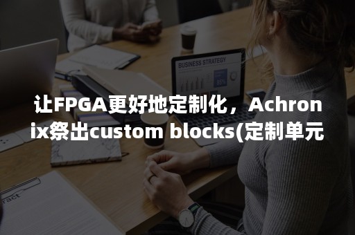 让FPGA更好地定制化，Achronix祭出custom blocks(定制单元块)