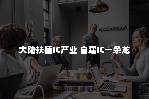 大陆扶植IC产业 自建IC一条龙