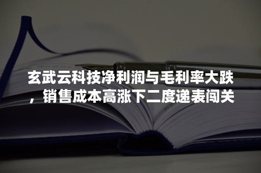 玄武云科技净利润与毛利率大跌，销售成本高涨下二度递表闯关