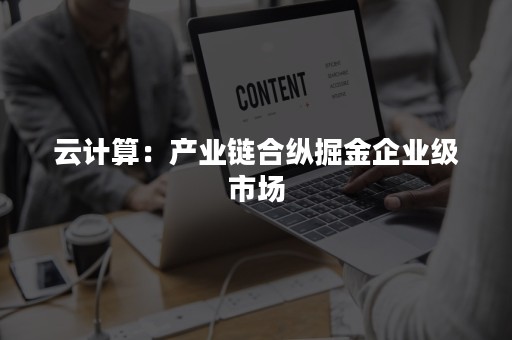 云计算：产业链合纵掘金企业级市场