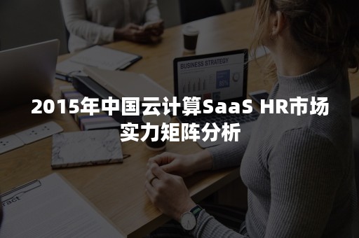 2015年中国云计算SaaS HR市场实力矩阵分析