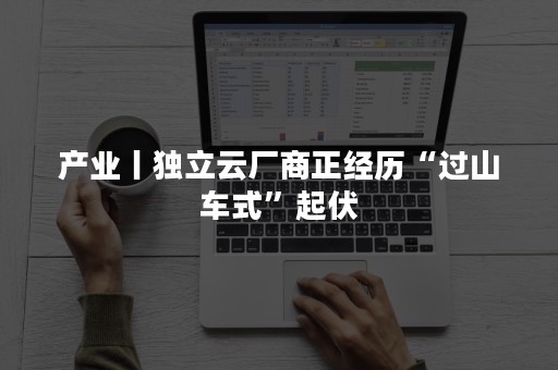 产业丨独立云厂商正经历“过山车式”起伏