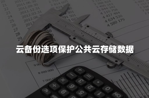 云备份选项保护公共云存储数据