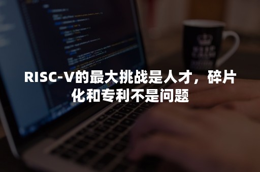 RISC-V的最大挑战是人才，碎片化和专利不是问题