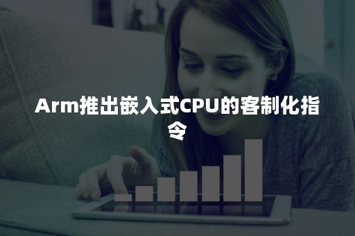 Arm推出嵌入式CPU的客制化指令