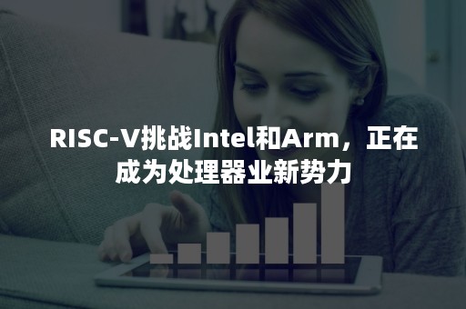 RISC-V挑战Intel和Arm，正在成为处理器业新势力