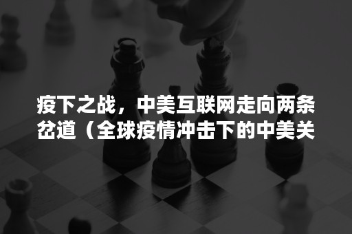 疫下之战，中美互联网走向两条岔道（全球疫情冲击下的中美关系与中国道路）