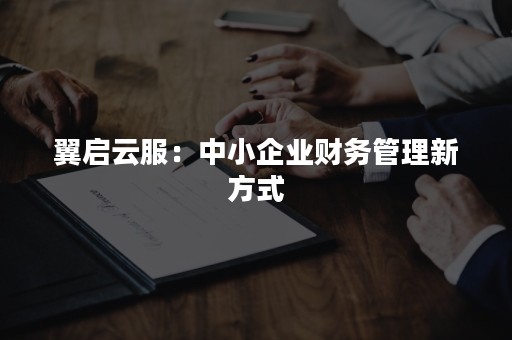 翼启云服：中小企业财务管理新方式