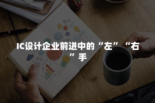 IC设计企业前进中的“左”“右”手