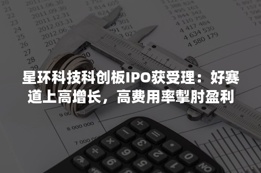 星环科技科创板IPO获受理：好赛道上高增长，高费用率掣肘盈利待解