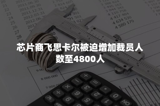 芯片商飞思卡尔被迫增加裁员人数至4800人
