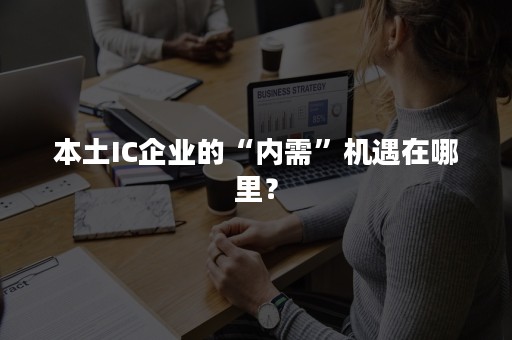 本土IC企业的“内需”机遇在哪里？