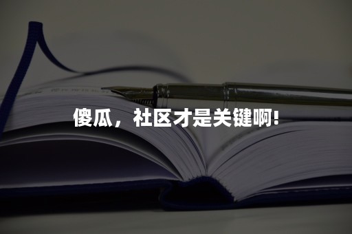傻瓜，社区才是关键啊!