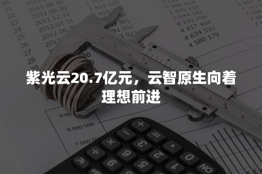 紫光云20.7亿元，云智原生向着理想前进