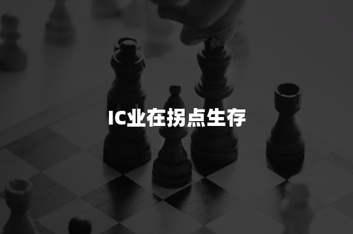 IC业在拐点生存