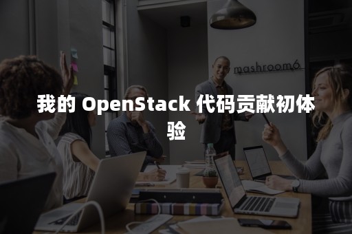 我的 OpenStack 代码贡献初体验