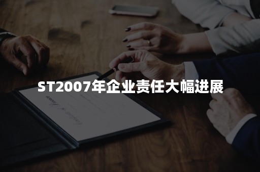 ST2007年企业责任大幅进展