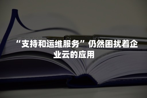 “支持和运维服务”仍然困扰着企业云的应用