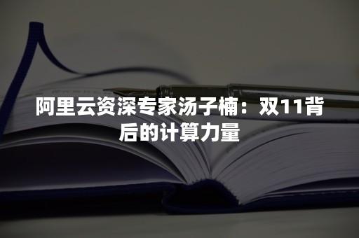 阿里云资深专家汤子楠：双11背后的计算力量