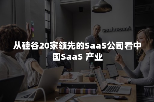 从硅谷20家领先的SaaS公司看中国SaaS 产业