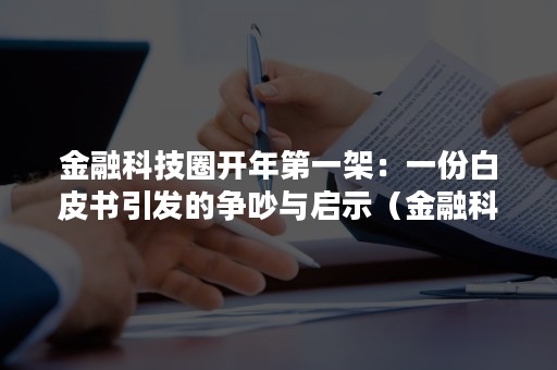 金融科技圈开年第一架：一份白皮书引发的争吵与启示（金融科技蓝皮书）