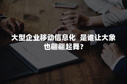 大型企业移动信息化  是谁让大象也翩翩起舞？
