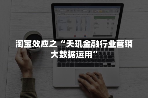 淘宝效应之“天玑金融行业营销大数据运用”