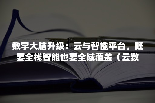 数字大脑升级：云与智能平台，既要全栈智能也要全域覆盖（云数智一体化）