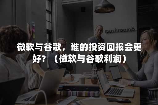 微软与谷歌，谁的投资回报会更好？（微软与谷歌利润）