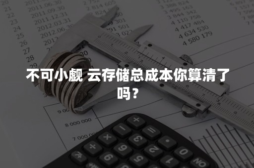 不可小觑 云存储总成本你算清了吗？