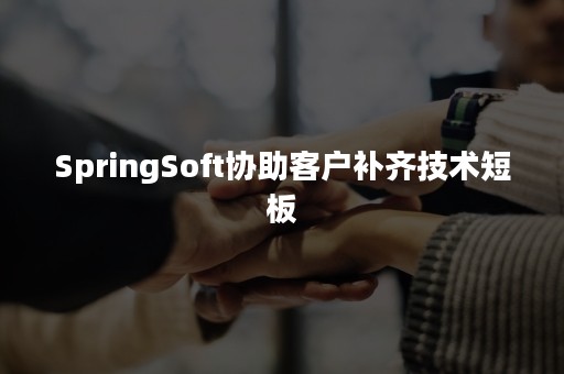 SpringSoft协助客户补齐技术短板