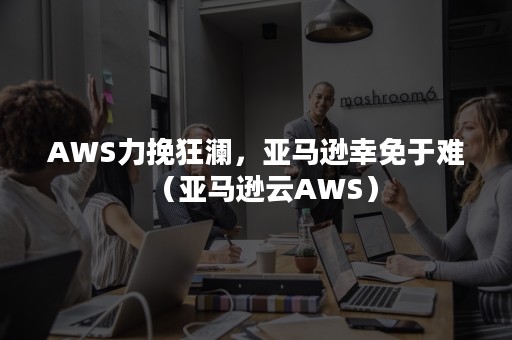 AWS力挽狂澜，亚马逊幸免于难（亚马逊云AWS）