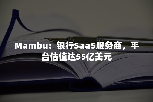 Mambu：银行SaaS服务商，平台估值达55亿美元