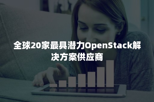 全球20家最具潜力OpenStack解决方案供应商