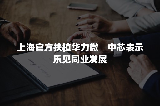 上海官方扶植华力微　中芯表示乐见同业发展