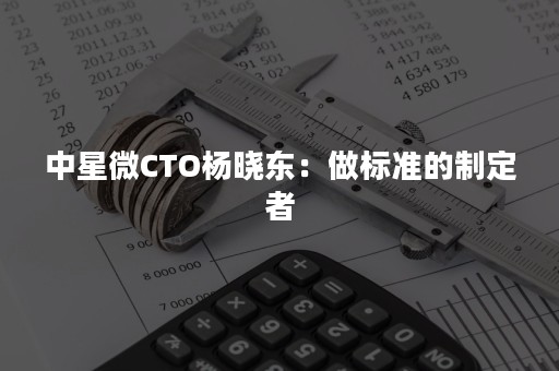 中星微CTO杨晓东：做标准的制定者