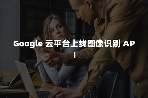 Google 云平台上线图像识别 API