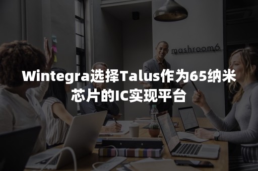 Wintegra选择Talus作为65纳米芯片的IC实现平台