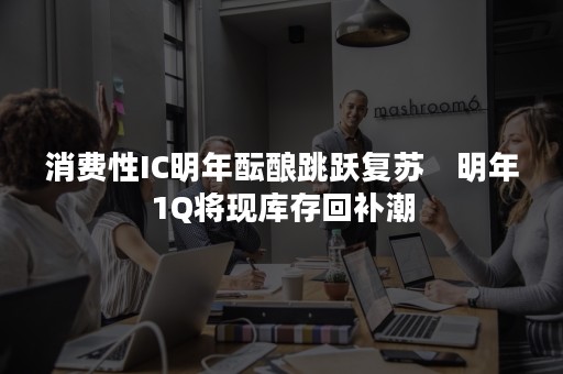 消费性IC明年酝酿跳跃复苏　明年1Q将现库存回补潮
