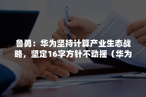 鲁勇：华为坚持计算产业生态战略，坚定16字方针不动摇（华为战略发展）