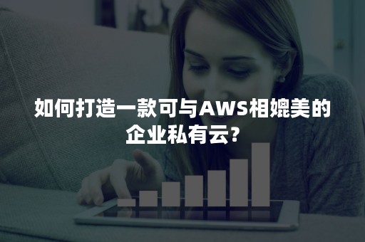 如何打造一款可与AWS相媲美的企业私有云？