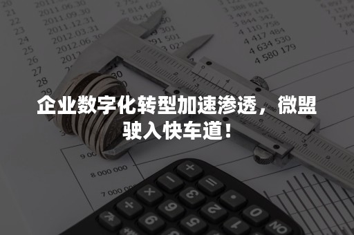 企业数字化转型加速渗透，微盟驶入快车道！