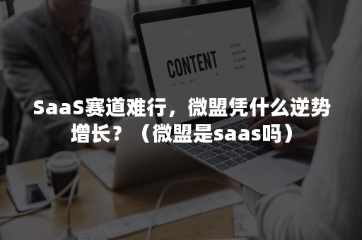 SaaS赛道难行，微盟凭什么逆势增长？（微盟是saas吗）