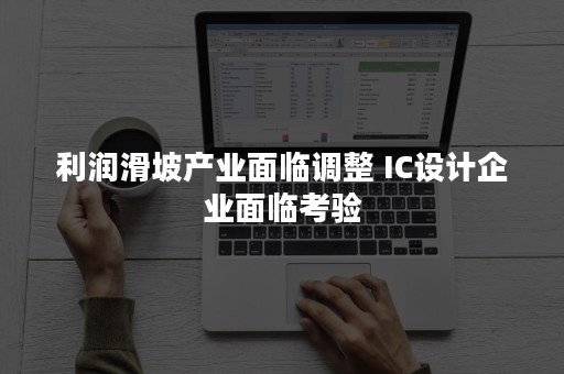 利润滑坡产业面临调整 IC设计企业面临考验