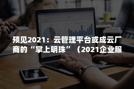 预见2021：云管理平台或成云厂商的“掌上明珠”（2021企业服务云图）