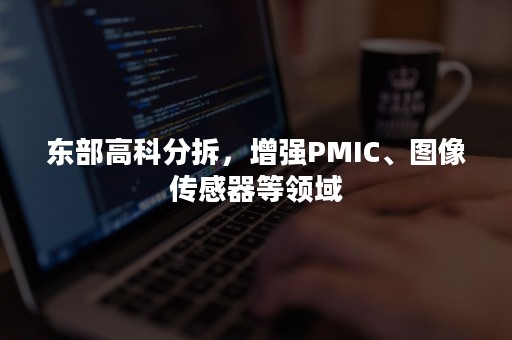 东部高科分拆，增强PMIC、图像传感器等领域