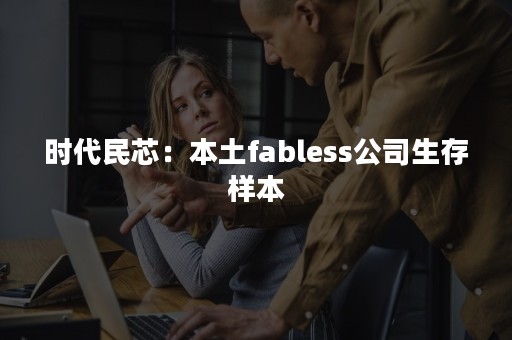 时代民芯：本土fabless公司生存样本